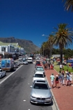 Africa;Camps-Bay;Cape-Peninsula;Cape-Town;palm;palm-tree;palm-trees;palms;people;person;South-Africa;Southern-Africa;summer;Table-Mountain;Victoria-Rd;Victoria-Road;Western-Cape;Western-Cape-Province