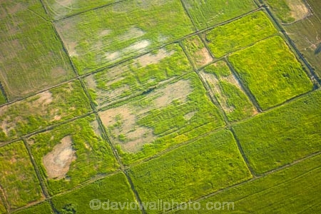 aerial;aerial-image;aerial-images;aerial-photo;aerial-photograph;aerial-photographs;aerial-photography;aerial-photos;aerial-view;aerial-views;aerials;agricultural;agriculture;Asia;Cambodia;country;countryside;crop;crops;farm;farming;farmland;farms;field;fields;flood-plain;flood-plains;floodplain;floodplains;green;grow;horticulture;Indochina-Peninsula;Kampuchea;Kingdom-of-Cambodia;Lower-Mekong-Basin;lush;meadow;meadows;Mekong-Plain;paddock;paddocks;paddy-field;paddy-fields;pasture;pastures;rice-field;rice-fields;rice-growing;rice-paddies;rice-paddy;rice-production;rural;Siem-Reap;Siem-Reap-Province;Southeast-Asia;verdant
