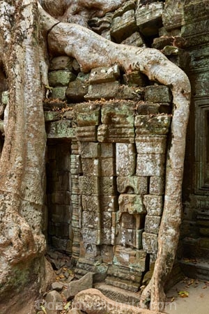 1186AD;12th-century;abandon;abandoned;ancient-temple;ancient-temples;Angkor;Angkor-Archaeological-Park;Angkor-Region;Angkor-Wat-World-Heritage-Area;Angkor-Wat-World-Heritage-Park;Angkor-Wat-World-Heritage-Site;Angkor-World-Heritage-Area;Angkor-World-Heritage-Park;Angkor-World-Heritage-Site;archaeological-site;archaeological-sites;Asia;bas-relief;bas_relief;Buddhist-temple;Buddhist-temples;building;buildings;Cambodia;Cambodian;Ceiba-pentandra;heritage;historic;historic-place;historic-places;historical;historical-place;historical-places;history;Indochina-Peninsula;jungle;Kampuchea;Khmer-Capital;Khmer-Empire;Khmer-temple;Khmer-temples;Kingdom-of-Cambodia;old;overgrown;place-of-worship;places-of-worship;religion;religions;religious;religious-monument;religious-monuments;religious-site;root;roots;ruin;ruins;Siem-Reap;Siem-Reap-Province;silk_cotton-tree;Southeast-Asia;stone;stone-building;stonework;Ta-Prohm;Ta-Prohm-temple;Ta-Prohm-temple-ruins;temple-ruins;Tetrameles-nudiflora;thitpok;tradition;traditional;tree;tree-root;tree-roots;trees;twelfth-century;UN-world-heritage-area;UN-world-heritage-site;UNESCO-World-Heritage-area;UNESCO-World-Heritage-Site;united-nations-world-heritage-area;united-nations-world-heritage-site;world-heritage;world-heritage-area;world-heritage-areas;World-Heritage-Park;World-Heritage-site;World-Heritage-Sites
