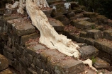 abandon;abandoned;ancient;ancient-temple;ancient-temples;Angkor;Angkor-Archaeological-Park;Angkor-Region;Angkor-Wat-World-Heritage-Area;Angkor-Wat-World-Heritage-Park;Angkor-Wat-World-Heritage-Site;Angkor-World-Heritage-Area;Angkor-World-Heritage-Park;Angkor-World-Heritage-Site;archaeological-site;archaeological-sites;Asia;bridge;Buddhist-temple;Buddhist-temples;building;buildings;Cambodia;Cambodian;Ceiba-pentandra;heritage;historic;historic-place;historic-places;historical;historical-place;historical-places;history;Indochina-Peninsula;Kampuchea;Khmer-Capital;Khmer-Empire;Khmer-temple;Khmer-temples;Kingdom-of-Cambodia;old;place-of-worship;places-of-worship;religion;religions;religious;religious-monument;religious-monuments;religious-site;root;roots;ruin;ruins;Siem-Reap;Siem-Reap-Province;silk_cotton-tree;Southeast-Asia;Spean-Thmor;Spean-Thmor-bridge;stone-bridge;stone-bridges;temple-ruins;Tetrameles-nudiflora;thitpok;tradition;traditional;tree;tree-root;tree-roots;trees;UN-world-heritage-area;UN-world-heritage-site;UNESCO-World-Heritage-area;UNESCO-World-Heritage-Site;united-nations-world-heritage-area;united-nations-world-heritage-site;world-heritage;world-heritage-area;world-heritage-areas;World-Heritage-Park;World-Heritage-site;World-Heritage-Sites