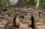 abandon;abandoned;ancient;ancient-temple;ancient-temples;Angkor;Angkor-Archaeological-Park;Angkor-Region;Angkor-Wat-World-Heritage-Area;Angkor-Wat-World-Heritage-Park;Angkor-Wat-World-Heritage-Site;Angkor-World-Heritage-Area;Angkor-World-Heritage-Park;Angkor-World-Heritage-Site;archaeological-site;archaeological-sites;Asia;bridge;Buddhist-temple;Buddhist-temples;building;buildings;Cambodia;Cambodian;Ceiba-pentandra;heritage;historic;historic-place;historic-places;historical;historical-place;historical-places;history;Indochina-Peninsula;Kampuchea;Khmer-Capital;Khmer-Empire;Khmer-temple;Khmer-temples;Kingdom-of-Cambodia;old;place-of-worship;places-of-worship;religion;religions;religious;religious-monument;religious-monuments;religious-site;root;roots;ruin;ruins;Siem-Reap;Siem-Reap-Province;silk_cotton-tree;Southeast-Asia;Spean-Thmor;Spean-Thmor-bridge;stone-bridge;stone-bridges;temple-ruins;Tetrameles-nudiflora;thitpok;tradition;traditional;tree;tree-root;tree-roots;trees;UN-world-heritage-area;UN-world-heritage-site;UNESCO-World-Heritage-area;UNESCO-World-Heritage-Site;united-nations-world-heritage-area;united-nations-world-heritage-site;world-heritage;world-heritage-area;world-heritage-areas;World-Heritage-Park;World-Heritage-site;World-Heritage-Sites
