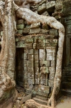 1186AD;12th-century;abandon;abandoned;ancient-temple;ancient-temples;Angkor;Angkor-Archaeological-Park;Angkor-Region;Angkor-Wat-World-Heritage-Area;Angkor-Wat-World-Heritage-Park;Angkor-Wat-World-Heritage-Site;Angkor-World-Heritage-Area;Angkor-World-Heritage-Park;Angkor-World-Heritage-Site;archaeological-site;archaeological-sites;Asia;bas-relief;bas_relief;Buddhist-temple;Buddhist-temples;building;buildings;Cambodia;Cambodian;Ceiba-pentandra;heritage;historic;historic-place;historic-places;historical;historical-place;historical-places;history;Indochina-Peninsula;jungle;Kampuchea;Khmer-Capital;Khmer-Empire;Khmer-temple;Khmer-temples;Kingdom-of-Cambodia;old;overgrown;place-of-worship;places-of-worship;religion;religions;religious;religious-monument;religious-monuments;religious-site;root;roots;ruin;ruins;Siem-Reap;Siem-Reap-Province;silk_cotton-tree;Southeast-Asia;stone;stone-building;stonework;Ta-Prohm;Ta-Prohm-temple;Ta-Prohm-temple-ruins;temple-ruins;Tetrameles-nudiflora;thitpok;tradition;traditional;tree;tree-root;tree-roots;trees;twelfth-century;UN-world-heritage-area;UN-world-heritage-site;UNESCO-World-Heritage-area;UNESCO-World-Heritage-Site;united-nations-world-heritage-area;united-nations-world-heritage-site;world-heritage;world-heritage-area;world-heritage-areas;World-Heritage-Park;World-Heritage-site;World-Heritage-Sites