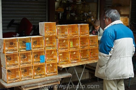 Asia;bird-cage;bird-cages;bird-market;bird-markets;caged-bird-market;caged-birds;China;commerce;commercial;H.K.;HK;Hong-Kong;Hong-Kong-Special-Administrative-Region-of-the-Peoples-Republic;Kowloon;Kowloon-Peninsula;market;market-place;market-stall;market-stalls;market_place;marketplace;marketplaces;markets;Mong-Kok;Peoples-Republic-of-China;retail;retailer;retailers;shop;shopping;shops;stall;stalls;street-market;street-markets;street-scene;street-scenes;Yuen-Po-St-Bird-Garden;Yuen-Po-St-Bird-market;Yuen-Po-Street-Bird-Garden;Yuen-Po-Street-Bird-market
