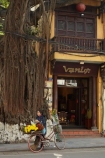 Asia;Asian;flower;flowers;Hanoi;hawker;hawkers;Old-Quarter;root;roots;South-East-Asia;Southeast-Asia;street;street-scene;street-scenes;street-vendor;street-vendors;streets;tree-root;tree-roots;vendor;vendors;Vietnam;Vietnamese