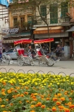 Asia;Asian;cycle-rickshaw;cycle-rickshaws;flower;flower-garden;flowers;Hanoi;Old-Quarter;peddle-rickshaw;peddle-rickshaws;people;person;rickshaws;shops;South-East-Asia;Southeast-Asia;street;street-scene;street-scenes;streets;three_wheeler;three_wheelers;tuk-tuk;tuk-tuks;tuk_tuk;tuk_tuks;tuktuk;tuktuks;Vietnam;Vietnamese