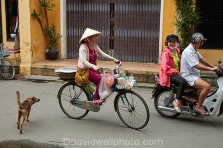 Asia;Asian;Asian-conical-hat;Asian-conical-hats;bicycle;bicycles;bike;bikes;Central-Sea-region;conical-hat;conical-hats;cycle;cycles;dog;dogs;female;females;Hi-An;Hoi-An;Hoi-An-Old-Town;Hoian;Indochina;ladies;lady;leaf-hat;leaf-hats;non-la;nón-lá;old-town;palm_leaf-conical-hat;people;person;push-bike;push-bikes;push_bike;push_bikes;pushbike;pushbikes;South-East-Asia;Southeast-Asia;street;street-scene;street-scenes;streets;UN-world-heritage-area;UN-world-heritage-site;UNESCO-World-Heritage-area;UNESCO-World-Heritage-Site;united-nations-world-heritage-area;united-nations-world-heritage-site;Vietnam;Vietnamese;Vietnamese-conical-hat;Vietnamese-conical-hats;Vietnamese-hat;Vietnamese-hats;Vietnamese-symbol;woman;women;world-heritage;world-heritage-area;world-heritage-areas;World-Heritage-Park;World-Heritage-site;World-Heritage-Sites
