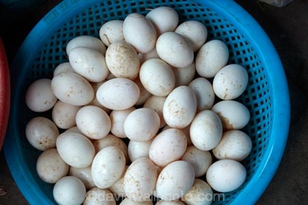 Asia;blue-basket;Central-Market;Central-Sea-region;egg;eggs;Hi-An;Hoi-An;Hoi-An-Central-Market;Hoi-An-Market;Hoi-An-Old-Town;Hoian;Indochina;old-town;South-East-Asia;Southeast-Asia;UN-world-heritage-area;UN-world-heritage-site;UNESCO-World-Heritage-area;UNESCO-World-Heritage-Site;united-nations-world-heritage-area;united-nations-world-heritage-site;Vietnam;Vietnamese;world-heritage;world-heritage-area;world-heritage-areas;World-Heritage-Park;World-Heritage-site;World-Heritage-Sites