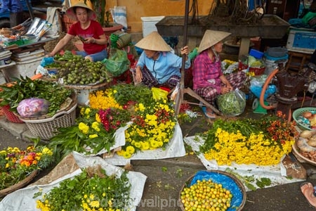 Asia;Asian;Asian-conical-hat;Asian-conical-hats;Central-Market;Central-Sea-region;colorful;colour;colourful;commerce;commercial;conical-hat;conical-hats;farmer;farmer-market;farmer-markets;farmers-market;farmers-markets;farmers;farmers-market;farmers-markets;female;females;floral;flower;flower-seller;flower-sellers;flowers;food;food-market;food-markets;food-stall;food-stalls;fruit;fruit-and-vegetables;fruit-market;fruit-markets;Hi-An;Hoi-An;Hoi-An-Central-Market;Hoi-An-Market;Hoi-An-Old-Town;Hoian;Indochina;ladies;lady;leaf-hat;leaf-hats;market;market-place;market-stall;market-stalls;market_place;marketplace;marketplaces;markets;non-la;nÃ³n-lÃ¡;old-town;palm_leaf-conical-hat;people;person;produce;produce-market;produce-markets;produce-pmarket;product;products;retail;retailer;retailers;shop;shopping;shops;South-East-Asia;Southeast-Asia;stall;stalls;steet-scene;street;street-scene;street-scenes;streets;UN-world-heritage-area;UN-world-heritage-site;UNESCO-World-Heritage-area;UNESCO-World-Heritage-Site;united-nations-world-heritage-area;united-nations-world-heritage-site;Vietnam;Vietnamese;Vietnamese-conical-hat;Vietnamese-conical-hats;Vietnamese-hat;Vietnamese-hats;Vietnamese-symbol;woman;women;world-heritage;world-heritage-area;world-heritage-areas;World-Heritage-Park;World-Heritage-site;World-Heritage-Sites;yellow