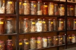 alternative-medicine;alternative-medicines;bottle;bottles;Hu;Hue;jar;jars;North-Central-Coast;shelf;shelves;southern-Herbology;Tha-Thiên_Hu-Province;Thuc-Nam;Thua-Thien_Hue-Province;traditional-medicine;traditional-medicine-shop;traditional-medicine-shops;traditional-medicines;Vietnam;Vietnamese;Y-hc-C-truyn;Asia