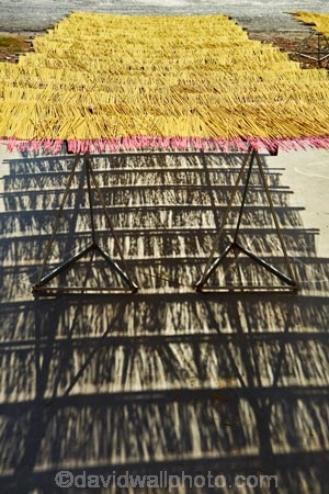 Asia;Asian;Can-Duoc;incense;incense-stick;incense-sticks;Long-An-Province;Mekong-Delta;shadow;shadows;South-East-Asia;Southeast-Asia;Vietnam;Vietnamese