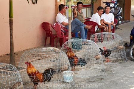Asia;Asian;Can-Duoc;Can-Duoc-Market;cockerill;cockerills;commerce;commercial;farmer-market;farmer-markets;farmers-market;farmers-markets;farmers-market;farmers-markets;food-market;food-markets;food-stall;food-stalls;Long-An-Province,;male;males;man;market;market-day;market-days;market-place;market_place;marketplace;markets;Mekong-Delta;Mekong-Delta-Region;men;poultry;produce;produce-market;produce-markets;retail;retailer;retailers;rooster;roosters;shop;shopping;shops;South-East-Asia;Southeast-Asia;stall;stalls;steet-scene;street-scenes;Vietnam;Vietnamese