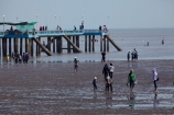 Asia;Asian;docks;jetties;jetty;Mekong-Delta;muddy-flats;muddy-tidal-flats;ock;people;person;pier;piers;quay;quays;South-East-Asia;Southeast-Asia;Tan-Thanh;Tan-Thanh-beach;tidal;tidal-flats;tide;Tien-Giang;Tien-Giang-Province;tourism;tourist;tourists;Vietnam;Vietnamese;Vietnamese-tourists;water;waterside;wharf;wharfes;wharves