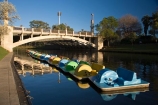 Adelaide;Adelaide-Bridge;Australasian;Australia;Australian;bridge;bridges;calm;King-William-St-Bridge;King-William-Street-Bridge;lake;Lake-Torrens;lakes;paddle-boat;paddle-boats;peddle-boat;peddle-boats;placid;quiet;reflection;reflections;river;River-Torrens;rivers;S.A.;SA;serene;smooth;South-Australia;State-Capital;still;Torrens-Lake;Torrens-River;tranquil;water