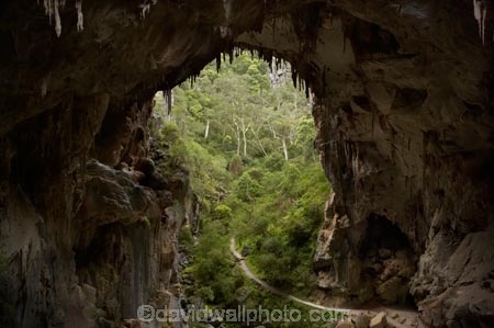 australasia;Australia;australian;Blue-Mountains;cave;cave-interior;cavern;cavernous;caverns;caves;caving;Devils-Coach-House;Devils-Coach-House;formation;geology;grotto;grottos;Jenolan-Caves;limestone;n.s.w.;natural-archway;Nettle-Cave;Nettles-Cave;New-South-Wales;nsw;rock;rock-formation;Rock-Formations;stalactite;stalactites;UN-world-heritage-site;underground;UNESCO-World-Heritage-Site;united-nations-world-heritage-si;world-heritage;world-heritage-area;world-heritage-areas;World-Heritage-Park;world-heritage-site;World-Heritage-Sites