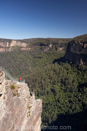 Australasia;Australia;Australian;Blackheath;Blue-Mountains;Blue-Mountains-N.P.;Blue-Mountains-National-Park;Blue-Mountains-NP;bluff;bluffs;cliff;cliffs;escarpment;escarpments;eucalypt;eucalypts;eucalyptus;eucalytis;Grose-Valley;gum;gum-tree;gum-trees;gums;lookout;lookouts;mountainside;mountainsides;N.S.W.;New-South-Wales;NSW;panorama;panoramas;people;person;Pulpit-Rock;sandstone;scene;scenes;scenic-view;scenic-views;steep;tourism;tourist;tourists;tree;trees;UN-world-heritage-site;UNESCO-World-Heritage-Site;united-nations-world-heritage-site;View;viewpoint;viewpoints;views;vista;vistas;world-heritage;world-heritage-area;world-heritage-areas;World-Heritage-Park;World-Heritage-site;World-Heritage-Sites