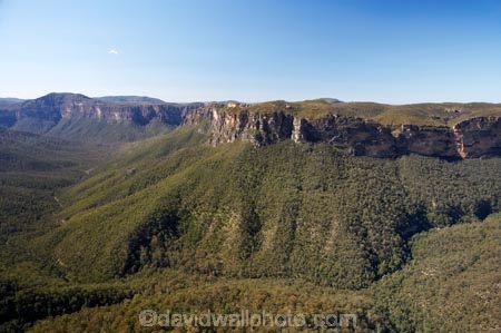 Australasia;Australia;Australian;Blackheath;Blue-Mountains;Blue-Mountains-N.P.;Blue-Mountains-National-Park;Blue-Mountains-NP;bluff;bluffs;cliff;cliffs;escarpment;escarpments;eucalypt;eucalypts;eucalyptus;eucalytis;Evans-Lookout;Grose-Valley;gum;gum-tree;gum-trees;gums;lookout;lookouts;mountainside;mountainsides;N.S.W.;New-South-Wales;NSW;panorama;panoramas;sandstone;scene;scenes;scenic-view;scenic-views;steep;tree;trees;UN-world-heritage-site;UNESCO-World-Heritage-Site;united-nations-world-heritage-site;View;viewpoint;viewpoints;views;vista;vistas;world-heritage;world-heritage-area;world-heritage-areas;World-Heritage-Park;World-Heritage-site;World-Heritage-Sites