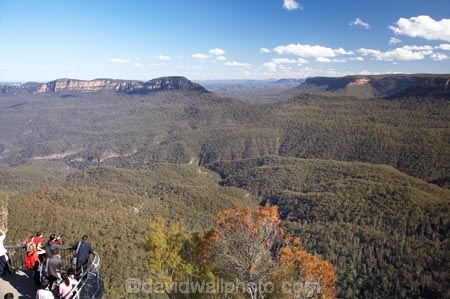 Australasia;Australia;Australian;Blue-Mountains;Blue-Mountains-N.P.;Blue-Mountains-National-Park;Blue-Mountains-NP;Echo-Point;escarpment;escarpments;eucalypt;eucalypts;eucalyptus;eucalytis;gum;gum-tree;gum-trees;gums;Jamison-Valley;Katoomba;lookout;lookouts;Mount-Jellore;Mount-Solitary;Mt-Jellore;Mt-Solitary;Mt.-Jellore;Mt.-Solitary;N.S.W.;New-South-Wales;NSW;panorama;panoramas;people;person;scene;scenes;scenic-view;scenic-views;tourism;tourist;tourists;tree;trees;UN-world-heritage-site;UNESCO-World-Heritage-Site;united-nations-world-heritage-site;View;viewpoint;viewpoints;views;vista;vistas;world-heritage;world-heritage-area;world-heritage-areas;World-Heritage-Park;World-Heritage-site;World-Heritage-Sites