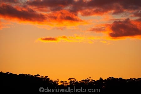 Australasia;Australia;Australian;Blue-Mountains;Blue-Mountains-N.P.;Blue-Mountains-National-Park;Blue-Mountains-NP;dusk;evening;Jamison-Valley;Katoomba;N.S.W.;New-South-Wales;nightfall;NSW;orange;sky;sunset;sunsets;twilight;UN-world-heritage-site;UNESCO-World-Heritage-Site;united-nations-world-heritage-site;world-heritage;world-heritage-area;world-heritage-areas;World-Heritage-Park;World-Heritage-site;World-Heritage-Sites