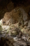 Australasia;Australia;Australian;Blue-Mountains;cave;cave-interior;cavern;cavernous;caverns;caves;caving;Devils-Coach-House;Devils-Coach-House;formation;geology;grotto;grottos;Jenolan-Caves;limestone;N.S.W.;natural-archway;Nettle-Cave;Nettles-Cave;New-South-Wales;NSW;rock;rock-formation;rock-formations;UN-world-heritage-site;underground;UNESCO-World-Heritage-Site;united-nations-world-heritage-site;world-heritage;world-heritage-area;world-heritage-areas;World-Heritage-Park;World-Heritage-site;World-Heritage-Sites