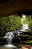 Australasia;Australia;Australian;Blue-Mountains;Blue-Mountains-N.P.;Blue-Mountains-National-Park;Blue-Mountains-NP;cascade;cascades;creek;creeks;falls;Leura;Leura-Cascades;Leura-Falls-Creek;N.S.W.;natural;nature;New-South-Wales;NSW;scene;scenic;stream;streams;UN-world-heritage-site;UNESCO-World-Heritage-Site;united-nations-world-heritage-site;water;water-fall;water-falls;waterfall;waterfalls;wet;world-heritage;world-heritage-area;world-heritage-areas;World-Heritage-Park;World-Heritage-site;World-Heritage-Sites
