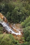 Australasia;Australia;Australian;Blue-Mountains;Blue-Mountains-N.P.;Blue-Mountains-National-Park;Blue-Mountains-NP;Bridal-Veil-Falls;cascade;cascades;creek;creeks;falls;Leura;Leura-Cascades;Leura-Falls;Leura-Falls-Creek;N.S.W.;natural;nature;New-South-Wales;NSW;scene;scenic;stream;streams;UN-world-heritage-site;UNESCO-World-Heritage-Site;united-nations-world-heritage-site;water;water-fall;water-falls;waterfall;waterfalls;wet;world-heritage;world-heritage-area;world-heritage-areas;World-Heritage-Park;World-Heritage-site;World-Heritage-Sites
