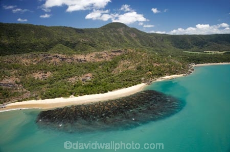 aerial;aerial-photo;aerial-photograph;aerial-photographs;aerial-photography;aerial-photos;aerial-view;aerial-views;aerials;Australasian;Australia;Australian;Barrier-Reef;beach;beaches;coast;coastal;coastline;coastlines;coasts;coral-reef;coral-reefs;Coral-Sea;environment;Great-Barrier-Reef;Little-Reef-Beach;North-Queensland;Oak-Beach;ocean;Oceans;Pretty-Beach;Qld;Queensland;reef;reefs;sand;sandy;sea;Seas;shore;shoreline;shorelines;shores;South-Pacific;Tasman-Sea;Tropcial-North-Queensland;tropical;tropical-reef;tropical-reefs;water