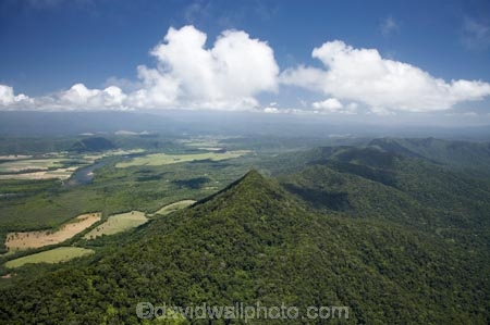 aerial;aerial-photo;aerial-photograph;aerial-photographs;aerial-photography;aerial-photos;aerial-view;aerial-views;aerials;australasian;Australia;australian;beautiful;beauty;bush;cloud;clouds;Daintree-Forest;Daintree-N.P.;Daintree-National-Park;Daintree-NP;Daintree-Rainforest;Daintree-River;endemic;forest;forests;green;native;native-bush;natural;nature;North-Queensland;Qld;queensland;rain-forest;rain-forests;rain_forest;rain_forests;rainforest;rainforests;river;rivers;scene;scenic;Thornton-Range;tree;trees;Tropcial-North-Queensland;tropical;tropical-rainforest;tropical-rainforests;UNESCO-World-Heritage-Site;Wiorld-Heritage-Site;wood;woods;world-heritage-area;World-Heritage-Park;world-heritage-site