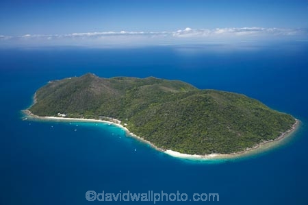 aerial;aerial-photo;aerial-photograph;aerial-photographs;aerial-photography;aerial-photos;aerial-view;aerial-views;aerials;Australasian;Australia;Australian;Cairns;coast;coastal;coastline;coastlines;coasts;Coral-Sea;Fitzroy-Is;Fitzroy-Is-NP;Fitzroy-Is.;Fitzroy-Is.-N.P.;Fitzroy-Island;Fitzroy-Island-N.P.;Fitzroy-Island-National-Park;Fitzroy-Island-NP;holiday;holiday-destination;holiday-destinations;holidays;island;islands;North-Queensland;ocean;Qld;Queensland;sea;shore;shoreline;shorelines;shores;tourism;travel;Tropcial-North-Queensland;tropical;Tropical-Island;Tropical-Islands;vacation;vacations;water