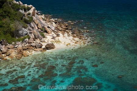 adventure;adventure-tourism;aerial;aerial-photo;aerial-photograph;aerial-photographs;aerial-photography;aerial-photos;aerial-view;aerial-views;aerials;Australasian;Australia;Australian;boat;boats;Cairns;canoe;canoeing;canoes;coast;coastal;coastline;coastlines;coasts;Coral-Sea;Fitzroy-Is;Fitzroy-Is-NP;Fitzroy-Is.;Fitzroy-Is.-N.P.;Fitzroy-Island;Fitzroy-Island-N.P.;Fitzroy-Island-National-Park;Fitzroy-Island-NP;holiday;holiday-destination;holiday-destinations;holidays;island;islands;kayak;kayaker;kayakers;kayaking;kayaks;Little-Fitzroy-Island;North-Queensland;ocean;paddle;paddler;paddlers;paddling;Qld;Queensland;sea;sea-kayak;sea-kayaker;sea-kayakers;sea-kayaking;sea-kayaks;shore;shoreline;shorelines;shores;tourism;travel;Tropcial-North-Queensland;tropical;Tropical-Island;Tropical-Islands;vacation;vacations;water