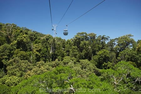 Australasian;Australia;Australian;Barron-Gorge-National-Park;beautiful;beauty;bush;cable-car;cable-cars;cable-way;cable-ways;cableway;cableways;Cairns;endemic;forest;forests;gondola;green;Kuranda;lush;McAlister-Range;native;native-bush;natural;nature;North-Queensland;Qld;Queensland;rain-forest;rain-forests;rain_forest;rain_forests;rainforest;rainforest-canopy;rainforests;scene;scenic;Sky-Rail;Skyrail;Skyrail-Rainforest-Cableway;tourism;travel;tree;trees;Tropical-North-Queensland;tropical-rainforest;tropical-rainforests;wood;woods