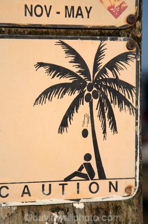 Australasian;Australia;Australian;Cairns;Coconuts-Falling-Waning-Sign;North-Queensland;palm;Palm-Beach;Palm-Cove;palm-tree;palm-trees;palms;Qld;Queensland;sign;signs;Tropical-North-Queensland;warning;warning-signs;warnings