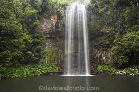 Atherton-Tableland;Atherton-Tablelands;Australasian;Australia;Australian;cascade;cascades;creek;creeks;falls;Millaa-Millaa-Falls;Millaa-Millaa-Waterfall;Millaa-Millaa-Waterfalls;natural;nature;North-Queensland;Qld;Queensland;scene;scenic;stream;streams;tropical-rainforest;tropical-rainforests;water;water-fall;water-falls;waterfall;waterfalls;wet