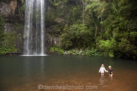 Atherton-Tableland;Atherton-Tablelands;Australasian;Australia;Australian;cascade;cascades;creek;creeks;falls;Millaa-Millaa-Falls;Millaa-Millaa-Waterfall;Millaa-Millaa-Waterfalls;natural;nature;North-Queensland;Qld;Queensland;scene;scenic;stream;streams;tourism;tourist;tourists;tropical-rainforest;tropical-rainforests;water;water-fall;water-falls;waterfall;waterfalls;wet