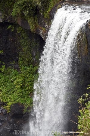 Atherton-Tableland;Atherton-Tablelands;Australasian;Australia;Australian;cascade;cascades;creek;creeks;falls;Millaa-Millaa;natural;nature;North-Queensland;Qld;Queensland;scene;scenic;stream;streams;tropical-rainforest;tropical-rainforests;water;water-fall;water-falls;waterfall;waterfalls;wet;Zillie-Falls;Zillie-Waterfall;Zillie-Waterfalls