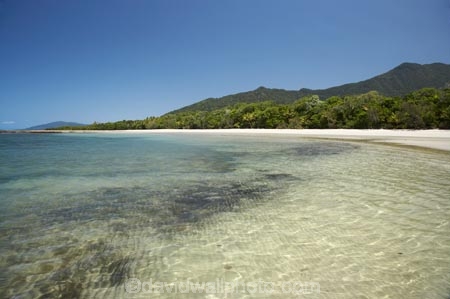 Australasian;Australia;Australian;beach;beaches;coast;coastal;coastline;Coral-Sea;Daintree-N.P.;Daintree-National-Park;Daintree-NP;North-Queensland;ocean;oceans;Qld;Queensland;sand;sandy;sea;seas;shore;shoreline;Tropcial-North-Queensland;tropical;UNESCO-World-Heritage-Site;wave;waves;World-Heritage-Area;World-Heritage-Park;World-Heritage-Site