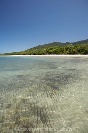 Australasian;Australia;Australian;beach;beaches;coast;coastal;coastline;Coral-Sea;Daintree-N.P.;Daintree-National-Park;Daintree-NP;North-Queensland;ocean;oceans;Qld;Queensland;sand;sandy;sea;seas;shore;shoreline;Tropcial-North-Queensland;tropical;UNESCO-World-Heritage-Site;wave;waves;World-Heritage-Area;World-Heritage-Park;World-Heritage-Site