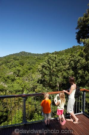 Aerial-Walkway;Australasian;Australia;Australian;beautiful;beauty;boardwalk;boy;boys;bush;Canopy-Tower;Canopy-Walkway;child;children;Daintree-Discovery-Centre;Daintree-Forest;Daintree-N.P.;Daintree-National-Park;Daintree-NP;Daintree-Rainforest;endemic;families;family;forest;forests;girl;girls;green;holiday;holidaying;holidays;native;native-bush;natural;nature;North-Queensland;Qld;Queensland;rain-forest;rain-forests;rain_forest;rain_forests;rainforest;rainforest-canopy;rainforests;scene;scenic;tourism;tourist;tourists;towers;travel;traveler;traveling;traveller;travelling;tree;trees;Tropcial-North-Queensland;tropical;tropical-rainforest;tropical-rainforests;tropical-vegetation;UNESCO-World-Heritage-Site;vacation;vacationers;vacationing;vacations;viewing-tower;walkway;Wiorld-Heritage-Site;wood;woods;World-Heritage-Area;World-Heritage-Park;World-Heritage-Site