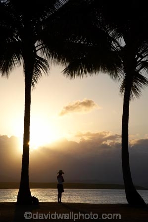 alone;Australasian;Australia;Australian;dusk;evening;holiday;holidaying;holidays;Island-Point;North-Queensland;palm;palm-tree;palm-trees;palms;people;person;Port-Douglas;Pt-Douglas;Pt.-Douglas;Qld;Queensland;single;sky;sunset;sunsets;tourism;tourist;tourists;travel;traveler;traveling;traveller;travelling;Tropcial-North-Queensland;twilight;vacation;vacationers;vacationing;vacations;woman-in-akubra