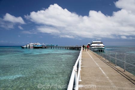 australasian;Australia;australian;Barrier-Reef;boat;boats;cairns;cay;cays;coast;coastal;coastline;coastlines;coasts;coral-cay;coral-cays;coral-reef;coral-reefs;Coral-Sea;cruise;cruises;dive-site;dive-sites;Ecosystem;Environment;Great-Barrier-Reef;Great-Barrier-Reef-Marine-Park;Green-Is;Green-Is-NP;Green-Is.;green-island;Green-Island-N.P.;Green-Island-National-Park;Green-Island-NP;Green-Island-Resort;holiday;holiday-destination;holiday-destinations;Holidays;jetties;jetty;launch;launches;marine-environment;North-Queensland;ocean;oceans;pier;piers;Qld;queensland;reef;reefs;sand-cay;sand-cays;sea;seas;shore;shoreline;shorelines;Shores;south-pacific;tasman-sea;tour-boat;tour-boats;tourism;tourist;tourist-boat;tourist-boats;travel;Tropcial-North-Queensland;tropical;tropical-reef;tropical-reefs;UNESCO-World-Heritage-Site;Vacation;Vacations;water;waterside;wharf;wharfes;wharves;Wiorld-Heritage-Site;world-heritage-area;World-Heritage-Park;world-heritage-site