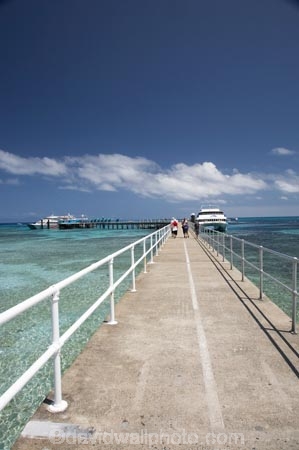 australasian;Australia;australian;Barrier-Reef;boat;boats;cairns;cay;cays;coast;coastal;coastline;coastlines;coasts;coral-cay;coral-cays;coral-reef;coral-reefs;Coral-Sea;cruise;cruises;dive-site;dive-sites;Ecosystem;Environment;Great-Barrier-Reef;Great-Barrier-Reef-Marine-Park;Green-Is;Green-Is-NP;Green-Is.;green-island;Green-Island-N.P.;Green-Island-National-Park;Green-Island-NP;Green-Island-Resort;holiday;holiday-destination;holiday-destinations;Holidays;jetties;jetty;launch;launches;marine-environment;North-Queensland;ocean;oceans;pier;piers;Qld;queensland;reef;reefs;sand-cay;sand-cays;sea;seas;shore;shoreline;shorelines;Shores;south-pacific;tasman-sea;tour-boat;tour-boats;tourism;tourist;tourist-boat;tourist-boats;travel;Tropcial-North-Queensland;tropical;tropical-reef;tropical-reefs;UNESCO-World-Heritage-Site;Vacation;Vacations;water;waterside;wharf;wharfes;wharves;Wiorld-Heritage-Site;world-heritage-area;World-Heritage-Park;world-heritage-site