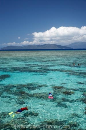 australasian;Australia;australian;Barrier-Reef;cairns;cay;cays;coast;coastal;coastline;coastlines;coasts;coral-cay;coral-cays;coral-reef;coral-reefs;Coral-Sea;dive-site;dive-sites;diver;divers;Ecosystem;Environment;Great-Barrier-Reef;Great-Barrier-Reef-Marine-Park;Green-Is;Green-Is-NP;Green-Is.;green-island;Green-Island-N.P.;Green-Island-National-Park;Green-Island-NP;Green-Island-Resort;holiday;holiday-destination;holiday-destinations;holidaying;Holidays;marine-environment;North-Queensland;ocean;oceans;people;person;persons;Qld;queensland;reef;reefs;sand-cay;sand-cays;sea;seas;shore;shoreline;shorelines;Shores;snorkel;snorkeler;snorkelers;snorkeling;south-pacific;swim;swimmer;swimmers;swimming;tasman-sea;tourism;tourist;tourists;travel;traveler;traveling;traveller;travelling;Tropcial-North-Queensland;tropical;tropical-reef;tropical-reefs;UNESCO-World-Heritage-Site;vacation;vacationers;vacationing;vacations;water;Wiorld-Heritage-Site;world-heritage-area;World-Heritage-Park;world-heritage-site
