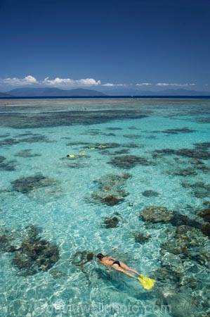 australasian;Australia;australian;Barrier-Reef;bikini;bikinis;cairns;cay;cays;coast;coastal;coastline;coastlines;coasts;coral-cay;coral-cays;coral-reef;coral-reefs;Coral-Sea;dive-site;dive-sites;diver;divers;Ecosystem;Environment;girl;girls;Great-Barrier-Reef;Great-Barrier-Reef-Marine-Park;Green-Is;Green-Is-NP;Green-Is.;green-island;Green-Island-N.P.;Green-Island-National-Park;Green-Island-NP;Green-Island-Resort;holiday;holiday-destination;holiday-destinations;holidaying;Holidays;marine-environment;North-Queensland;ocean;oceans;people;person;persons;Qld;queensland;reef;reefs;sand-cay;sand-cays;sea;seas;shore;shoreline;shorelines;Shores;snorkel;snorkeler;snorkelers;snorkeling;south-pacific;swim;swimmer;swimmers;swimming;tasman-sea;tourism;tourist;tourists;travel;traveler;traveling;traveller;travelling;Tropcial-North-Queensland;tropical;tropical-reef;tropical-reefs;UNESCO-World-Heritage-Site;vacation;vacationers;vacationing;vacations;water;Wiorld-Heritage-Site;woman;women;world-heritage-area;World-Heritage-Park;world-heritage-site