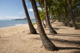 Australasian;Australia;Australian;beach;beaches;Cairns;coast;coastal;coastline;holiday;holiday-destination;holidays;North-Queensland;ocean;oceans;palm;Palm-Beach;Palm-Cove;palm-fringed-beach;palm-tree;palm-trees;palms;Qld;Queensland;sand;sandy;sea;seas;shore;shoreline;tropical;Tropical-North-Queensland;vacation;vacations