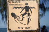 Australasian;Australia;Australian;Cairns;jellyfish;jellyfishes;marine-stinger;marine-stingers;North-Queensland;Palm-Beach;Palm-Cove;Qld;Queensland;sign;signs;stinger;stingers;stingers-warning;Tropical-North-Queensland;warning;warning-sign;warning-signs;warnings