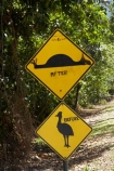 Australasian;Australia;Australian;beautiful;beauty;bush;Cassowary-Sign;Cassowary-Signs;Daintree-Forest;Daintree-N.P.;Daintree-National-Park;Daintree-NP;Daintree-Rainforest;endemic;forest;forests;funny;green;humour;humourous;native;native-bush;natural;nature;North-Queensland;Qld;Queensland;rain-forest;rain-forests;rain_forest;rain_forests;rainforest;rainforests;Road-Hump-Sign;Road-Hump-Signs;roadkill;scene;scenic;tree;trees;Tropcial-North-Queensland;tropical;tropical-rainforest;tropical-rainforests;tropical-vegetation;UNESCO-World-Heritage-Site;warning-sign;warning-signs;Wiorld-Heritage-Site;wood;woods;World-Heritage-Area;World-Heritage-Park;World-Heritage-Site