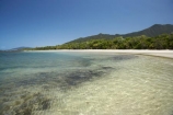 Australasian;Australia;Australian;beach;beaches;coast;coastal;coastline;Coral-Sea;Daintree-N.P.;Daintree-National-Park;Daintree-NP;North-Queensland;ocean;oceans;Qld;Queensland;sand;sandy;sea;seas;shore;shoreline;Tropcial-North-Queensland;tropical;UNESCO-World-Heritage-Site;wave;waves;World-Heritage-Area;World-Heritage-Park;World-Heritage-Site