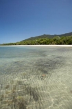 Australasian;Australia;Australian;beach;beaches;coast;coastal;coastline;Coral-Sea;Daintree-N.P.;Daintree-National-Park;Daintree-NP;North-Queensland;ocean;oceans;Qld;Queensland;sand;sandy;sea;seas;shore;shoreline;Tropcial-North-Queensland;tropical;UNESCO-World-Heritage-Site;wave;waves;World-Heritage-Area;World-Heritage-Park;World-Heritage-Site
