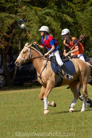 Australasian;Australia;Australian;Darwin;equestrian;fair;fairs;Freds-Pass-Rural-Show;horse;horses;N.T.;Northern-Territory;NT;people;person;polo-cross;polocross;polocross-rider;polocross-riders;polocrosse;polocrosse-rider;polocrosse-riders;rural-show;rural-shows;show;shows;sport;sports;Top-End