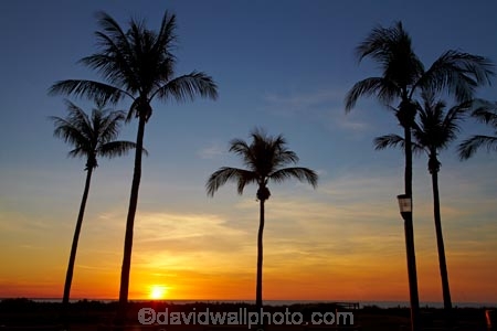 Australasian;Australia;Australian;Darwin;dusk;evening;Mindil-Beach;N.T.;nightfall;Northern-Territory;NT;orange;palm-tree;palm-trees;sky;sunset;sunsets;Top-End;twilight