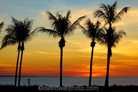 Australasian;Australia;Australian;beach;beaches;coast;coastal;coastline;Darwin;dusk;evening;Mindil-Beach;N.T.;nightfall;Northern-Territory;NT;ocean;oceans;orange;palm-tree;palm-trees;sand;sandy;sea;seas;shore;shoreline;sky;sunset;sunsets;Top-End;twilight